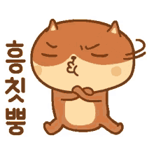 angry cat cat dindong cute cat hello