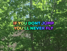 Drewisme Jump GIF - Drewisme Jump Fly GIFs