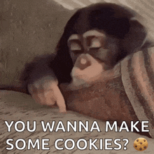 a chimpanzee is laying on a blanket and pointing at a cookie with the words " you wanna make some cookies "