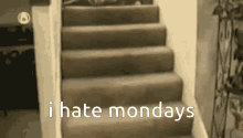 Cat Stairs Monday Cat Monday Stairs GIF - Cat Stairs Monday Cat Monday Stairs I Hate Mondays GIFs