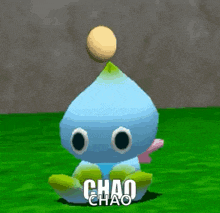 a cartoon character is sitting on the grass with a ball on its head and the words chaos chao written on it .