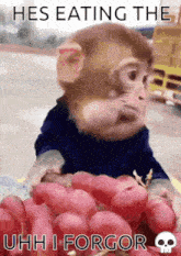 Eating Monkey GIF - Eating Monkey Monke GIFs
