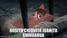 Rosita Chiquita Juanita Chihuahua Lol GIF - Rosita Chiquita Juanita Chihuahua Lol Funny GIFs