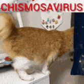 Ah Tot Chismosavirus GIF - Ah Tot Chismosavirus Oyen GIFs