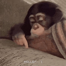 a baby chimpanzee is laying on a blanket and pointing at something .