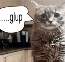 a cat is standing in a kitchen with a speech bubble that says glup