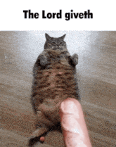 a cat is laying on its back next to a sausage and the words the lord giveth