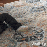 Dog Popping Up Viralhog GIF - Dog Popping Up Viralhog Suddenly Appears GIFs