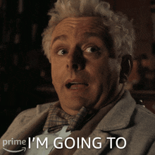 I'M Going To Sober Up Aziraphale GIF - I'M Going To Sober Up Aziraphale Michael Sheen GIFs
