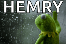 a picture of a kermit frog looking out a window with the word hemry above him