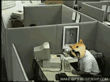 Dogecoin Computer Problem GIF