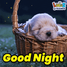 a puppy is sleeping in a wicker basket with the words good night