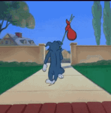 Tom And Jerry GIF - Tom And Jerry GIFs