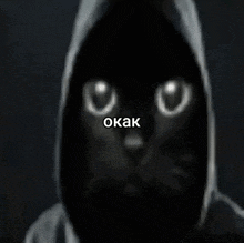 a black cat wearing a hooded jacket with the word okak above it