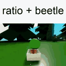 Beetle Kekpublika GIF - Beetle Kekpublika Roblox GIFs