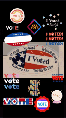 Vote Election GIF - Vote Election Day GIFs