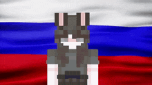 a girl in a bunny costume is standing in front of a flag