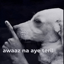 a black and white photo of a dog making a silence sign .