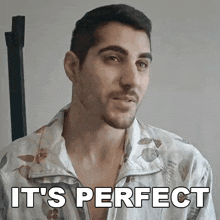 It'S Perfect Rudy Ayoub GIF - It'S Perfect Rudy Ayoub It'S Great GIFs