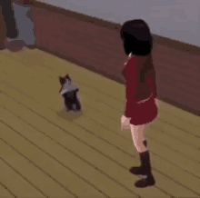 Dancing Dancing Cat GIF - Dancing Dancing Cat Cat GIFs