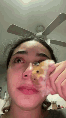 tissue pet hamster crying hamster wiping tears with hamster crying