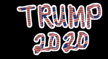 Trump2020 Team America GIF - Trump2020 Team America Go Trump GIFs