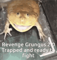 Grungus Revenge GIF - Grungus Revenge Frog GIFs