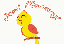 Good Morning Bird GIF
