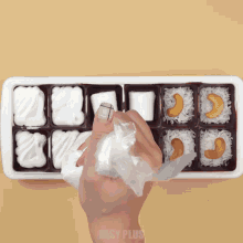 a hand is holding a plastic bag in front of a tray of food with easy plus written on the bottom