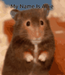 Allie Rat GIF