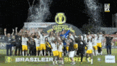 a group of soccer players are posing for a photo in front of a sign that says brasileira serie