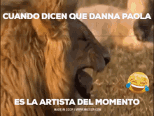 Danna Paola Paola Danna GIF - Danna Paola Paola Danna No Bailes Sola GIFs