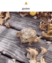 Frog Goober GIF - Frog Goober Alert GIFs