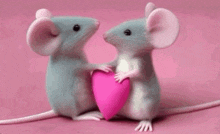 Mice Adorable GIF - Mice Adorable Love GIFs