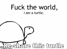 Turtle Fuck The World GIF - Turtle Fuck The World Idc GIFs