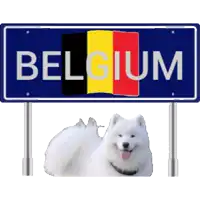 a blue sign that says belgium with a white dog behind it