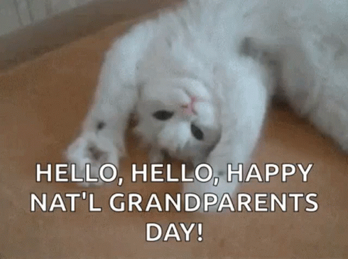happy parents day images gif