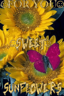 Sunflower Butterfly GIF - Sunflower Butterfly GIFs