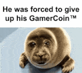 gamercoin gamer seal sad
