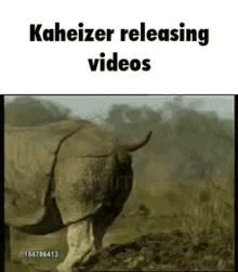 Kaheizer Pvz GIF - Kaheizer Pvz Random GIFs