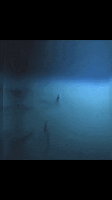 a silhouette of a person is visible in the water