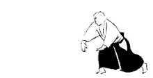 Ukemi Aikido GIF - Ukemi Aikido GIFs