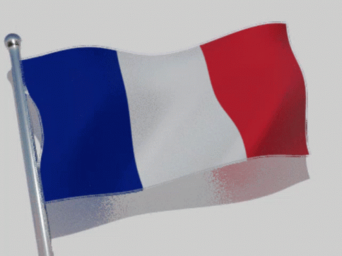 France French GIF - France French Flag GIFs