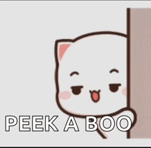 a cartoon cat peeking out from behind a wall with the words `` peek a boo '' written on it .