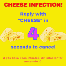 cheese infection cheese