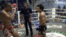 Trav Muay Thai Boxing GIF