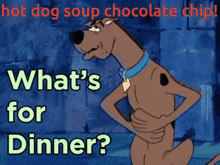 Wat Whats For Dinner GIF - Wat Whats For Dinner Scooby Doo GIFs
