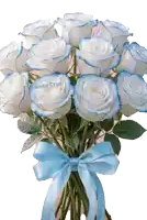 a bouquet of white and blue roses with anita cruz written on the bottom right