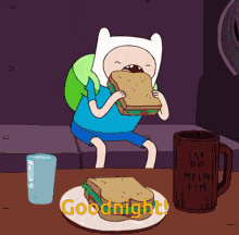 Good Night Finn GIF - Good Night Finn Adventure Time GIFs