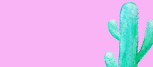 a watercolor painting of a blue cactus on a pink background .